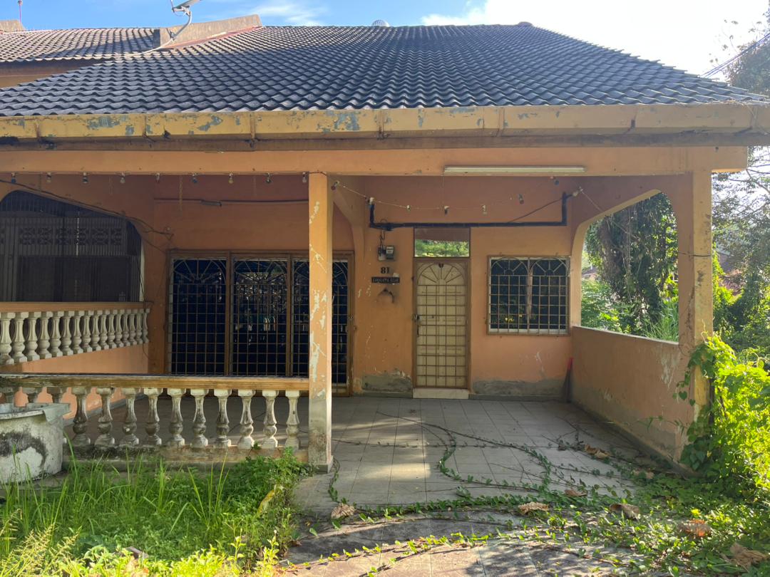 eszam_photo_81673_SERI PAROI.jpg